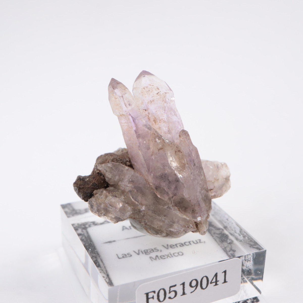 �٥饯�륹�� ���᥷����