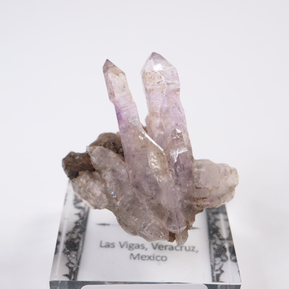 �٥饯�륹�� ���᥷����