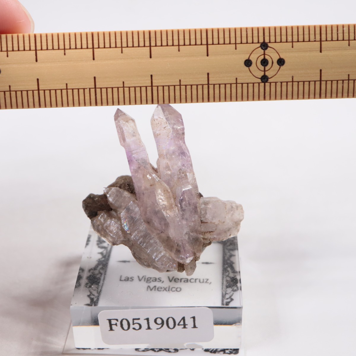 �٥饯�륹�� ���᥷����