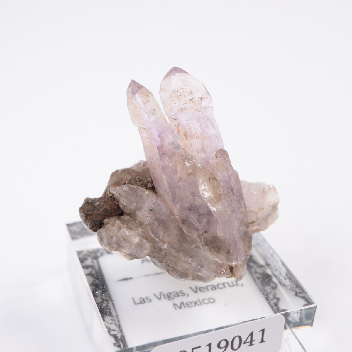 �٥饯�륹�� ���᥷����