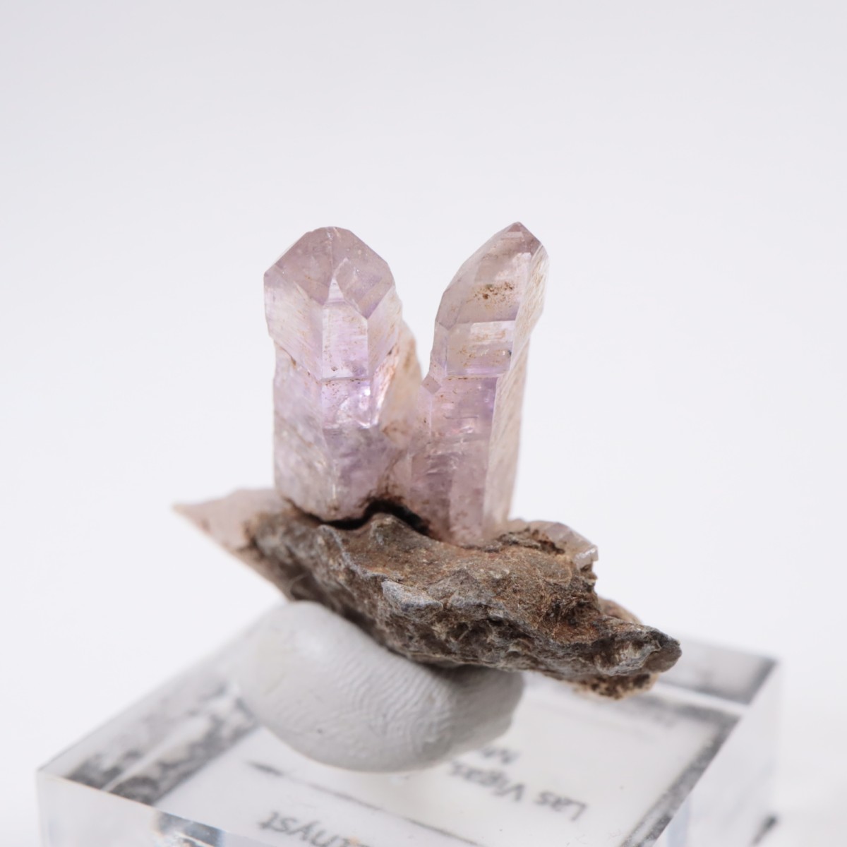 �٥饯�륹�� ���᥷����