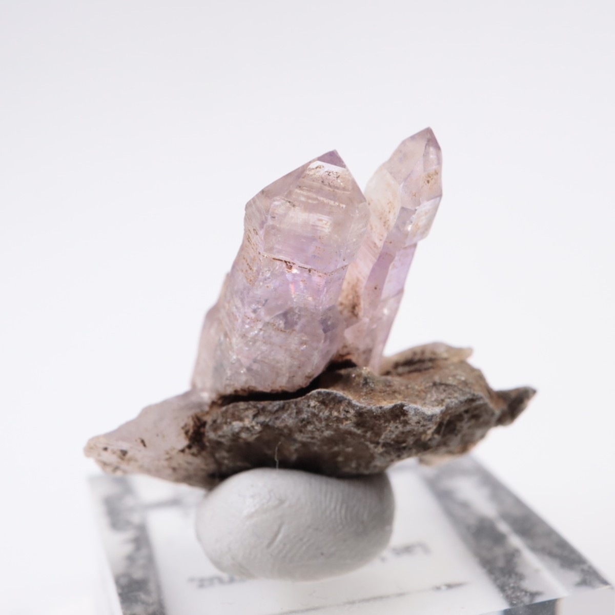 �٥饯�륹�� ���᥷����