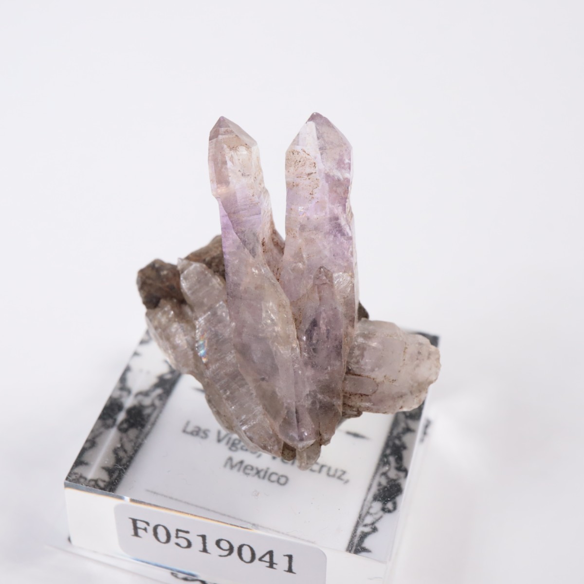 �٥饯�륹�� ���᥷����