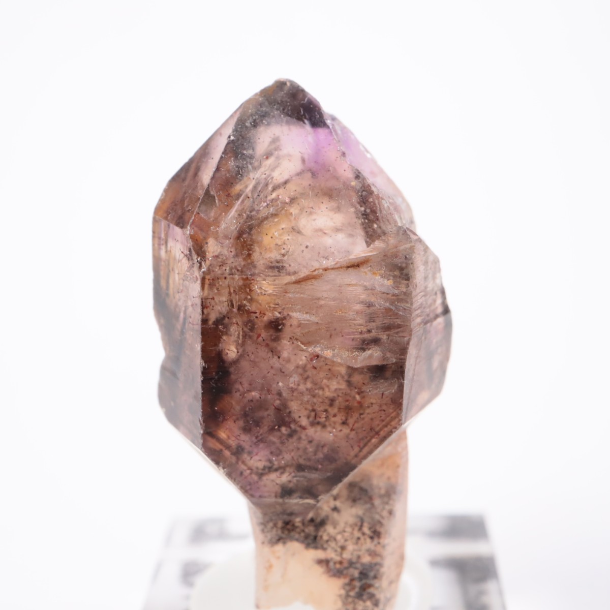 ����Х֥��� ���᥷����