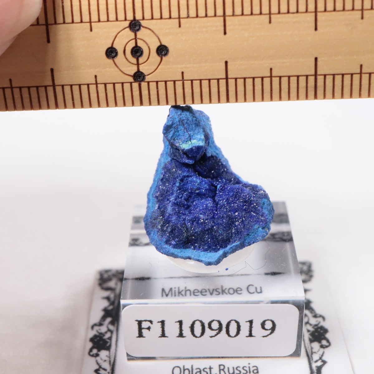 �������� �����饤��