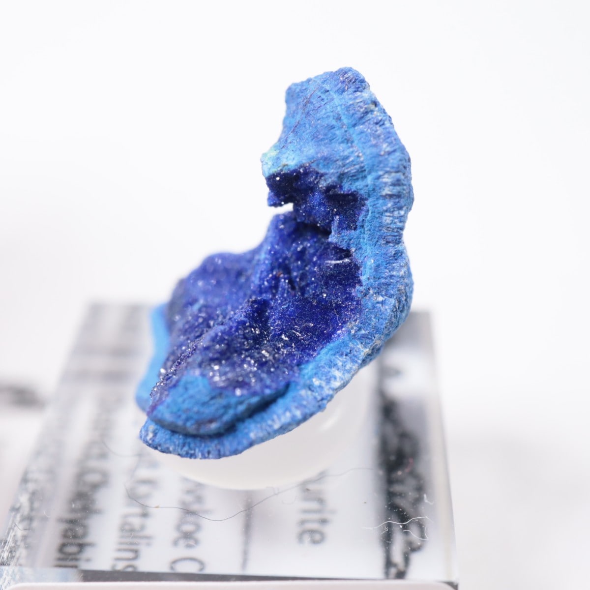 �������� �����饤��