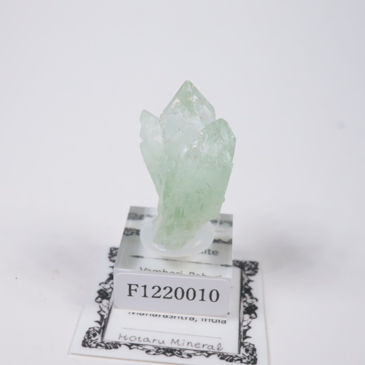 ����ɻ� ���ݥե��饤��