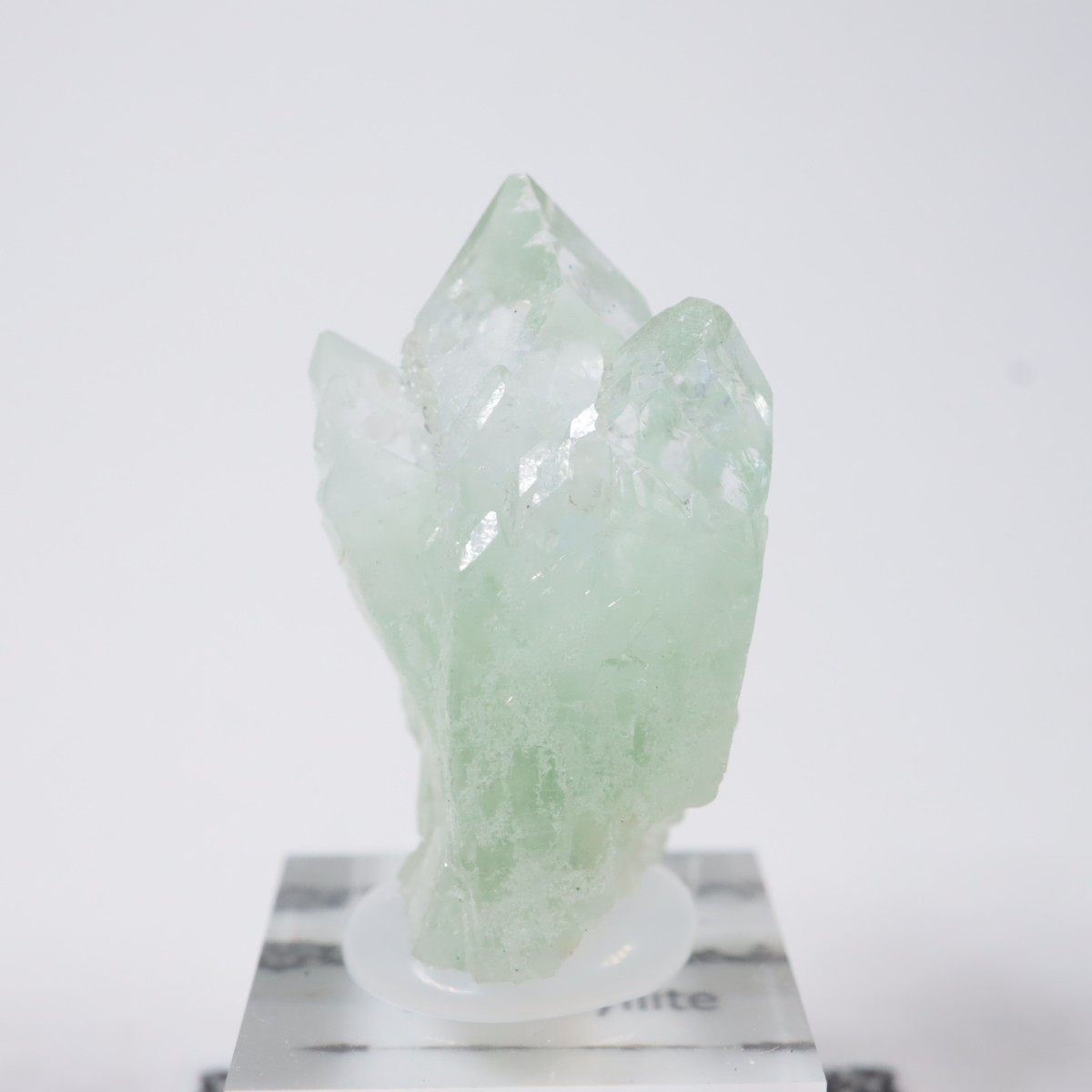 ����ɻ� ���ݥե��饤��