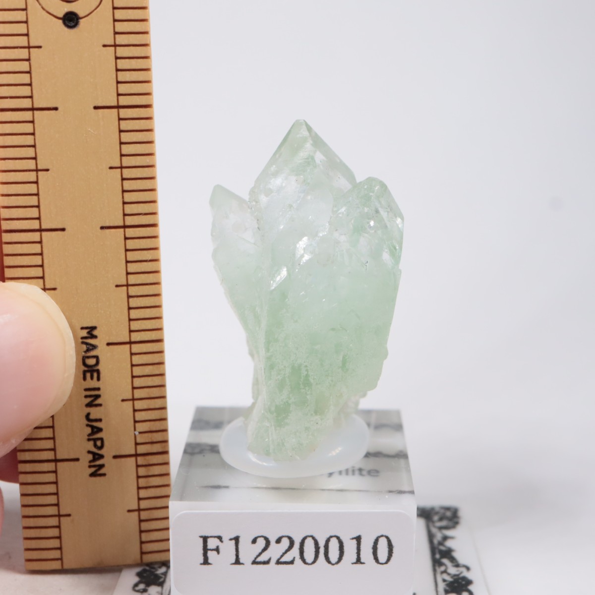 ����ɻ� ���ݥե��饤��