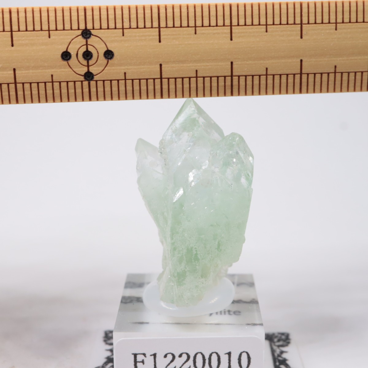 ����ɻ� ���ݥե��饤��