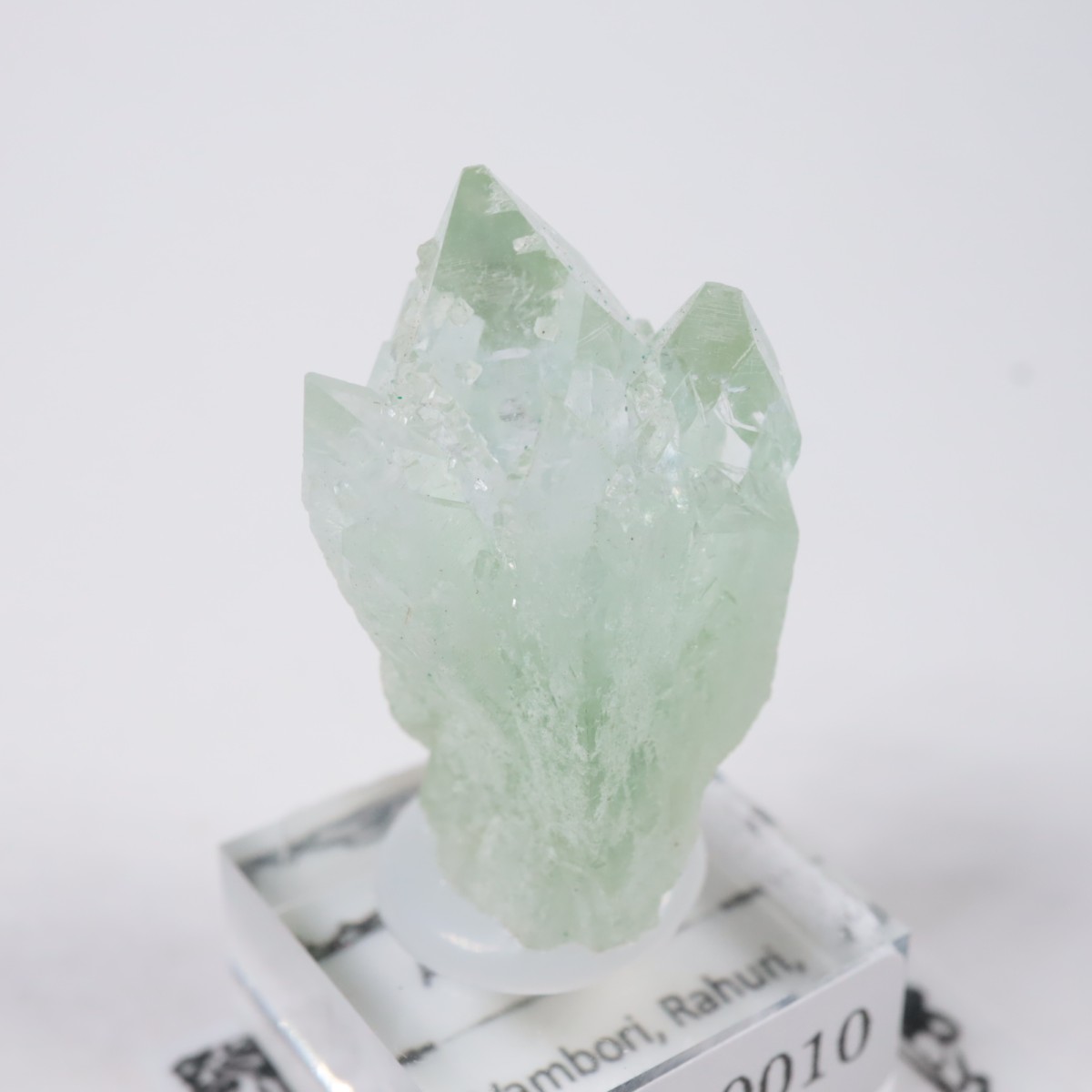 ����ɻ� ���ݥե��饤��