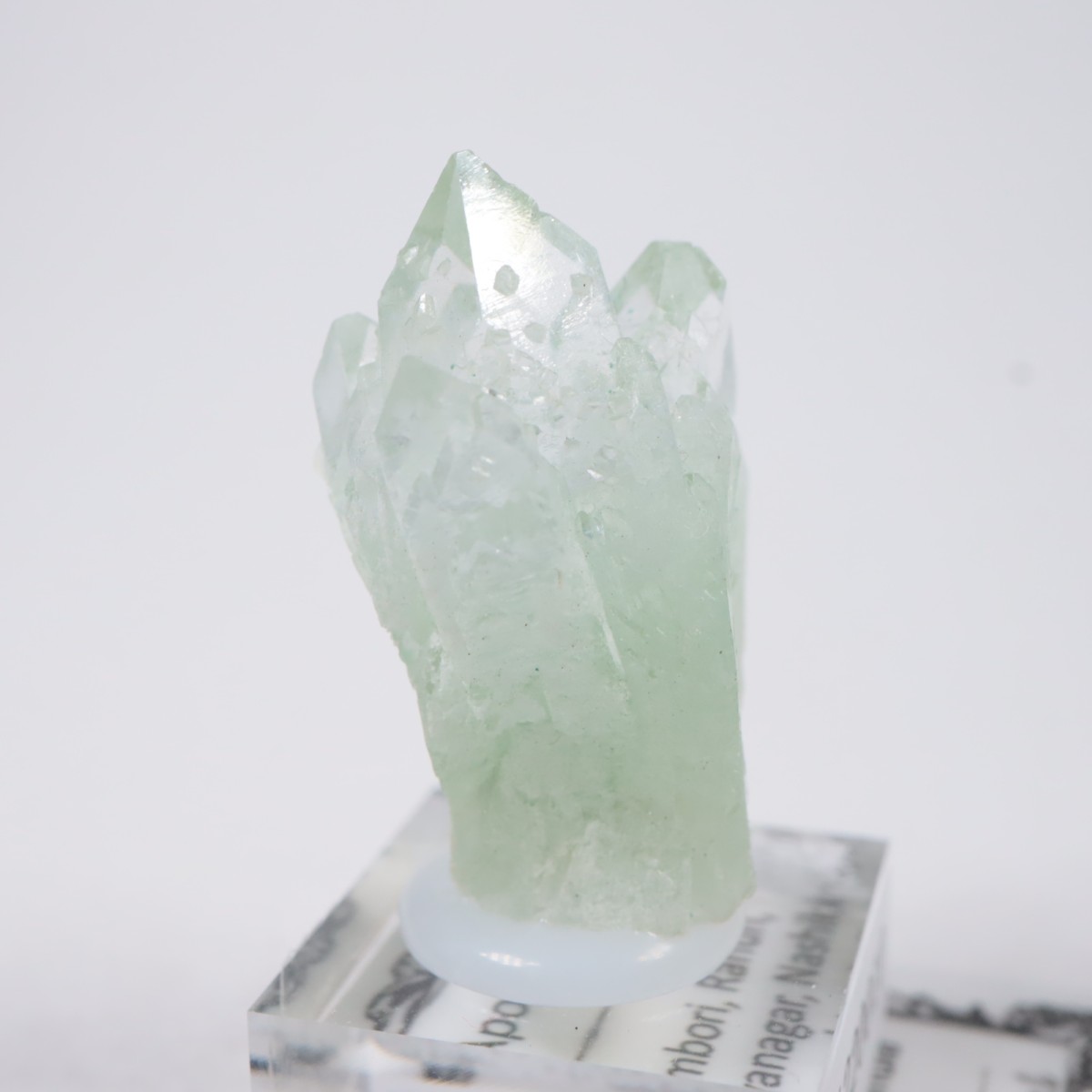 ����ɻ� ���ݥե��饤��