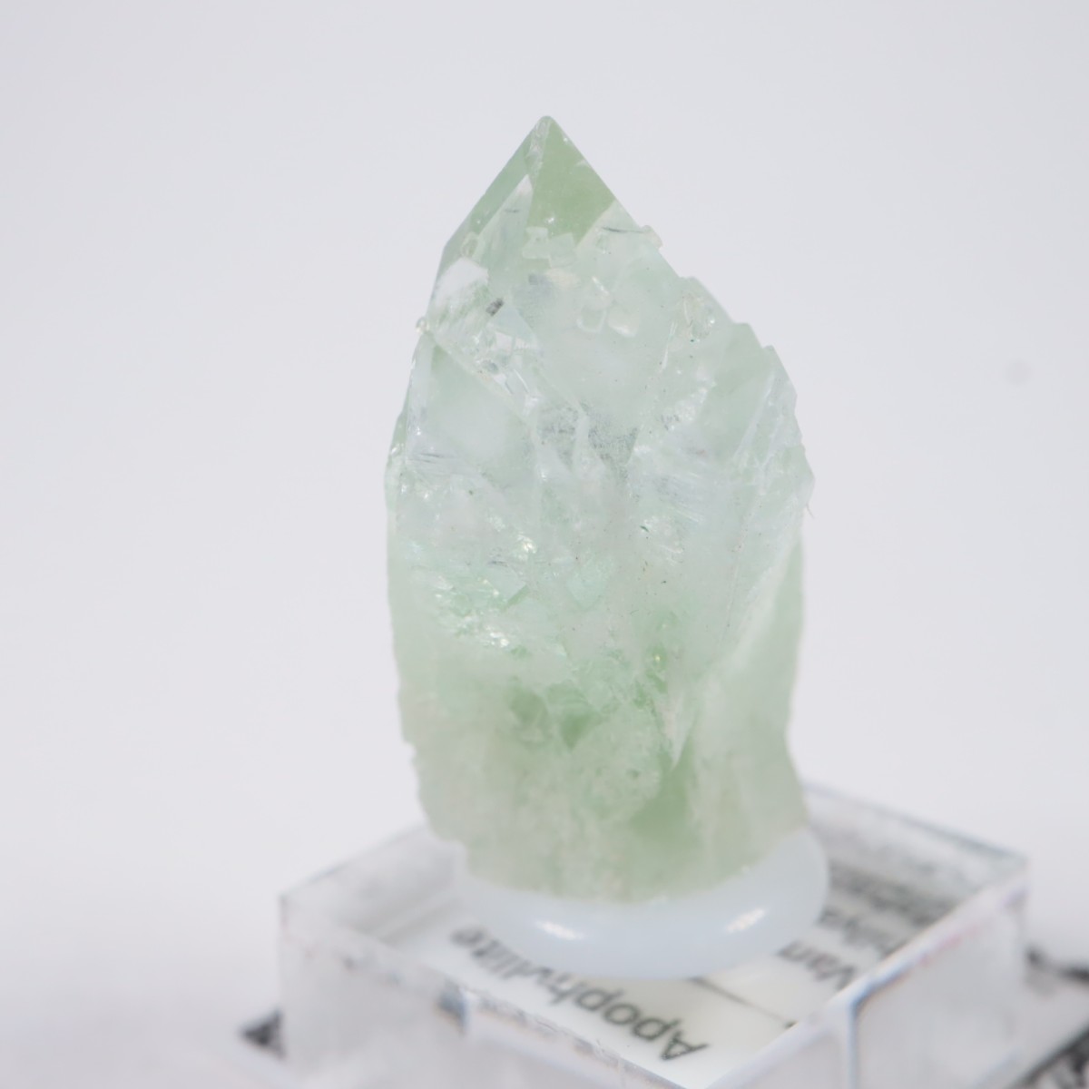 ����ɻ� ���ݥե��饤��