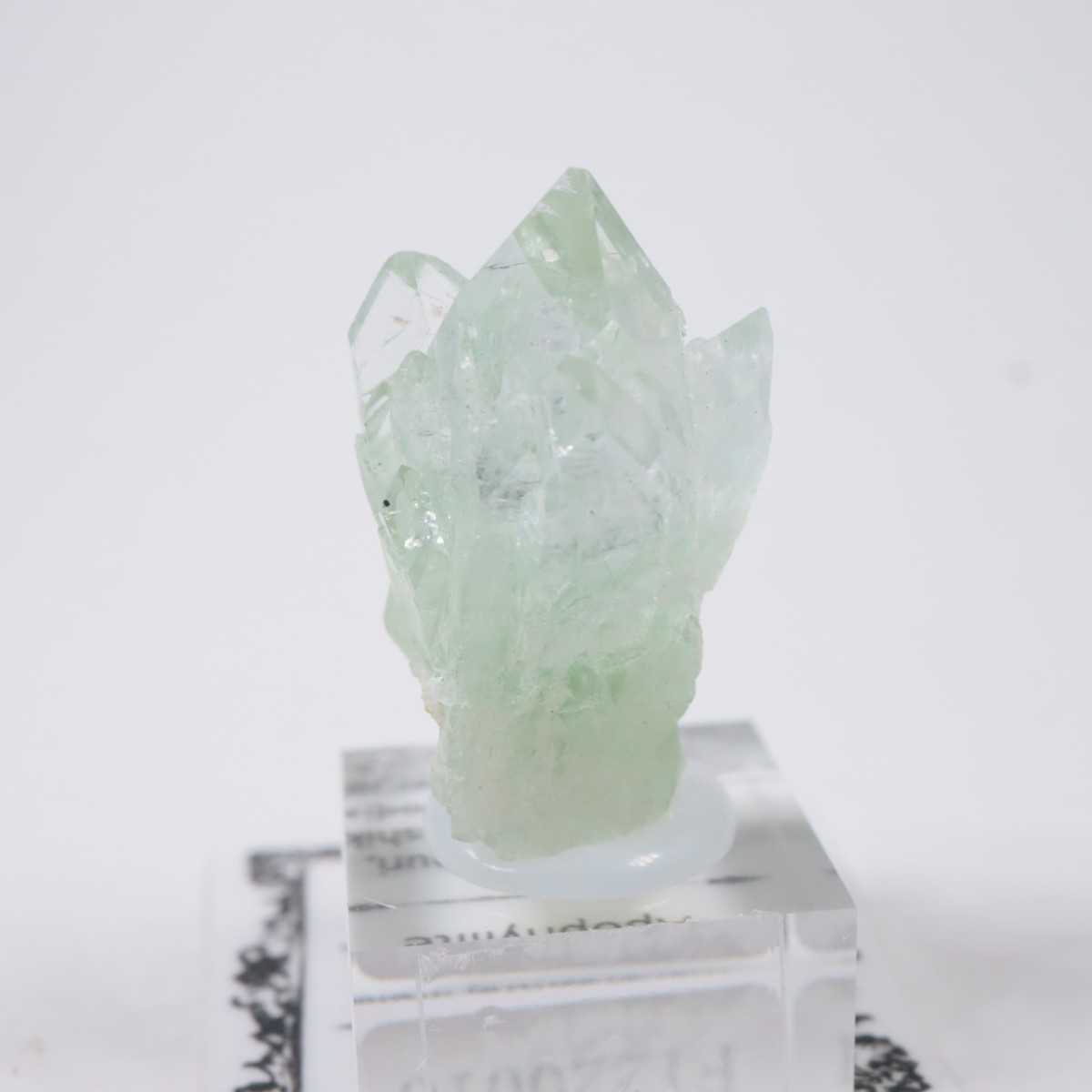 ����ɻ� ���ݥե��饤��