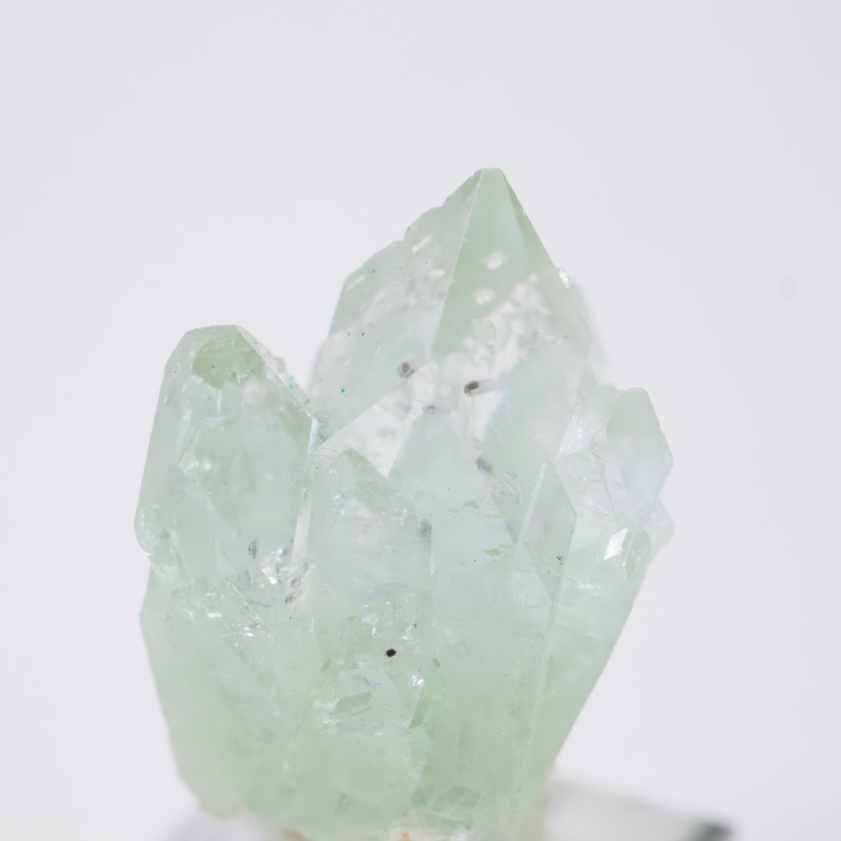 ����ɻ� ���ݥե��饤��