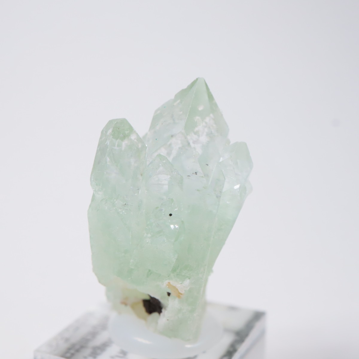 ����ɻ� ���ݥե��饤��