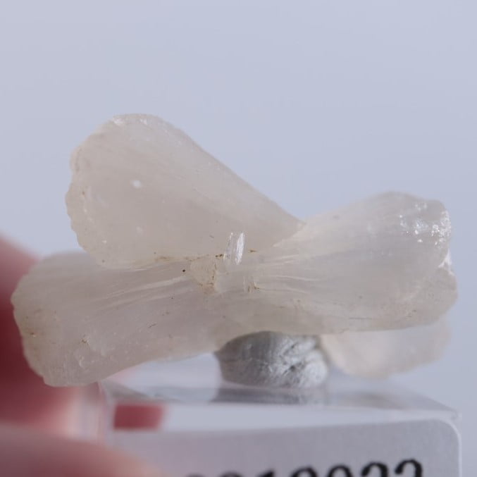 ����ɻ������ƥ���Х���