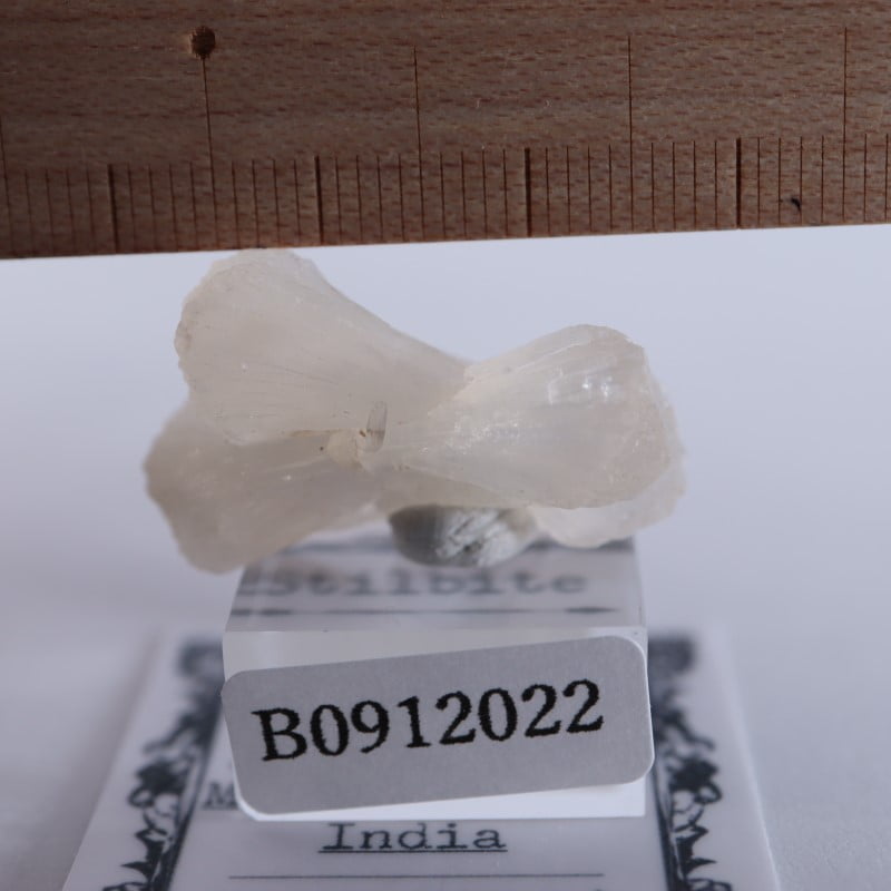 ����ɻ������ƥ���Х���