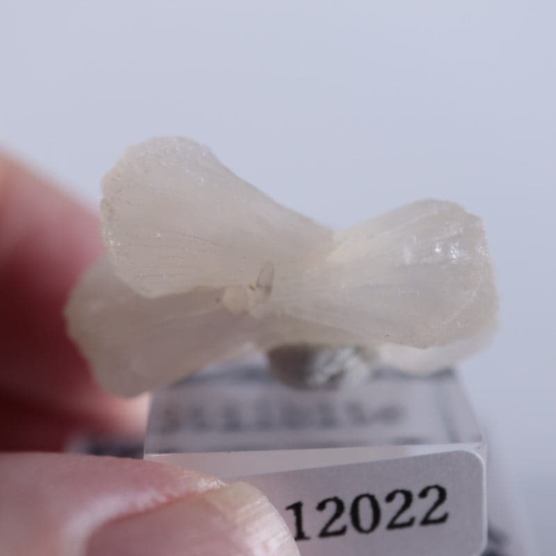 ����ɻ������ƥ���Х���