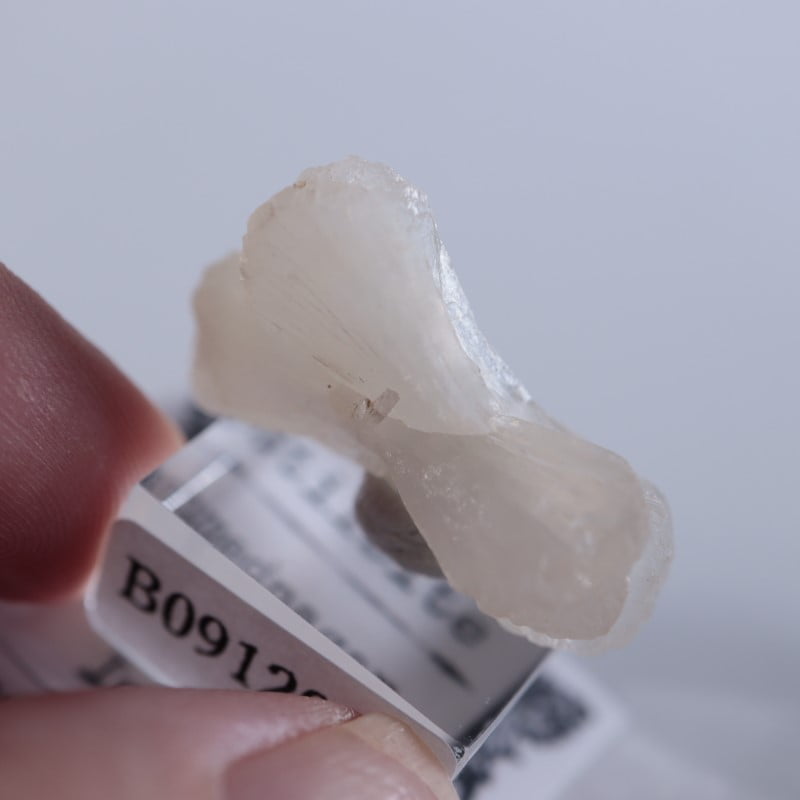 ����ɻ������ƥ���Х���