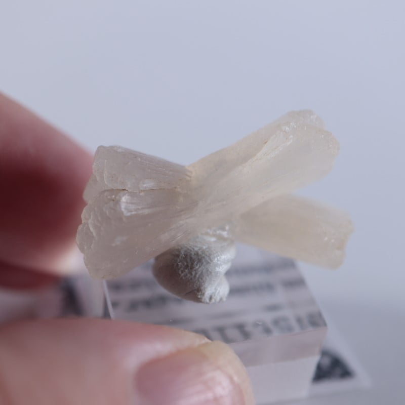 ����ɻ������ƥ���Х���