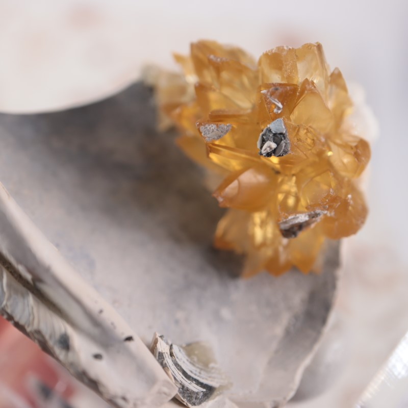 貝化石カルサイト | 鉱物標本,カ行,カルサイト/方解石 | ほたるみねら