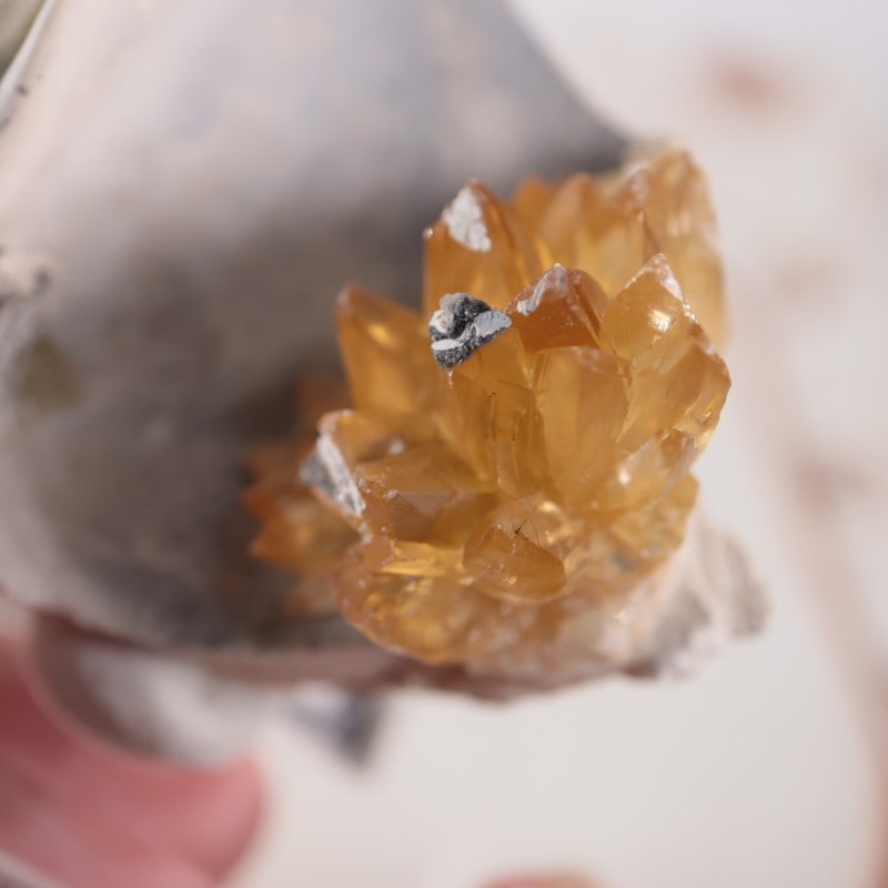 レア カルサイト 貝化石 鉱物 原石 オブジェ 置物 アンティーク 標本