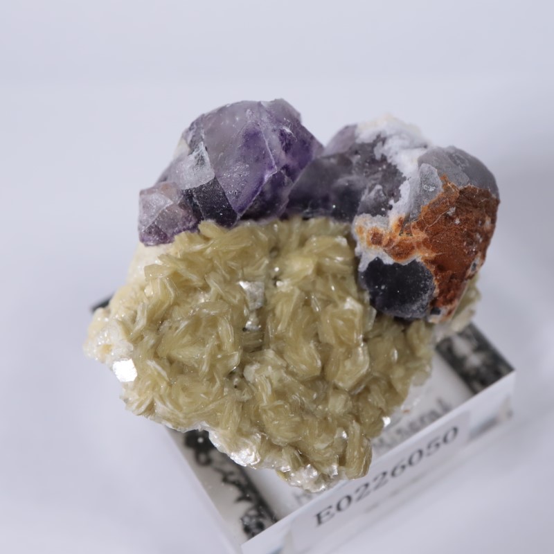 �����󥴹ۻ����ե����饤��