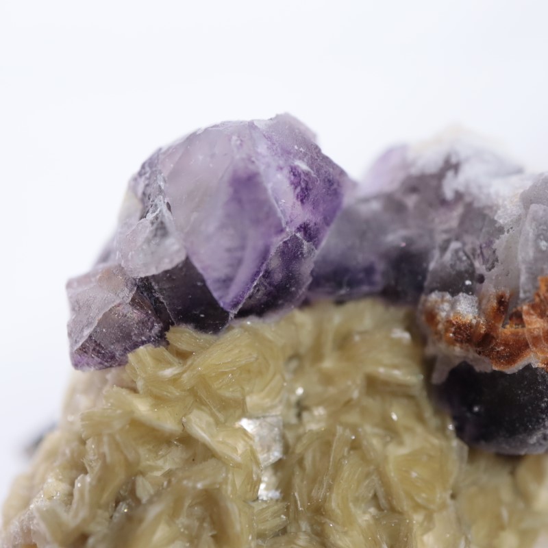 �����󥴹ۻ����ե����饤��