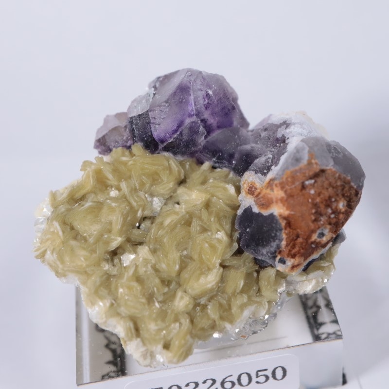 �����󥴹ۻ����ե����饤��