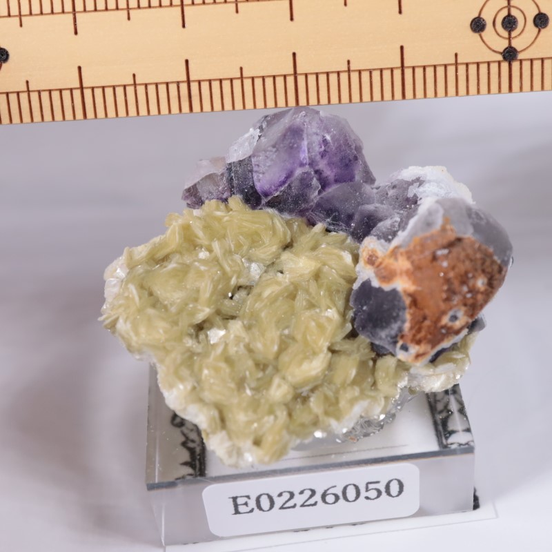 �����󥴹ۻ����ե����饤��