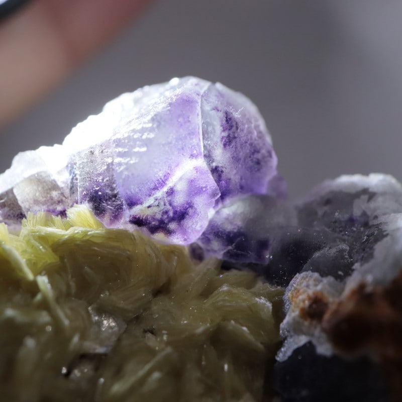 �����󥴹ۻ����ե����饤��