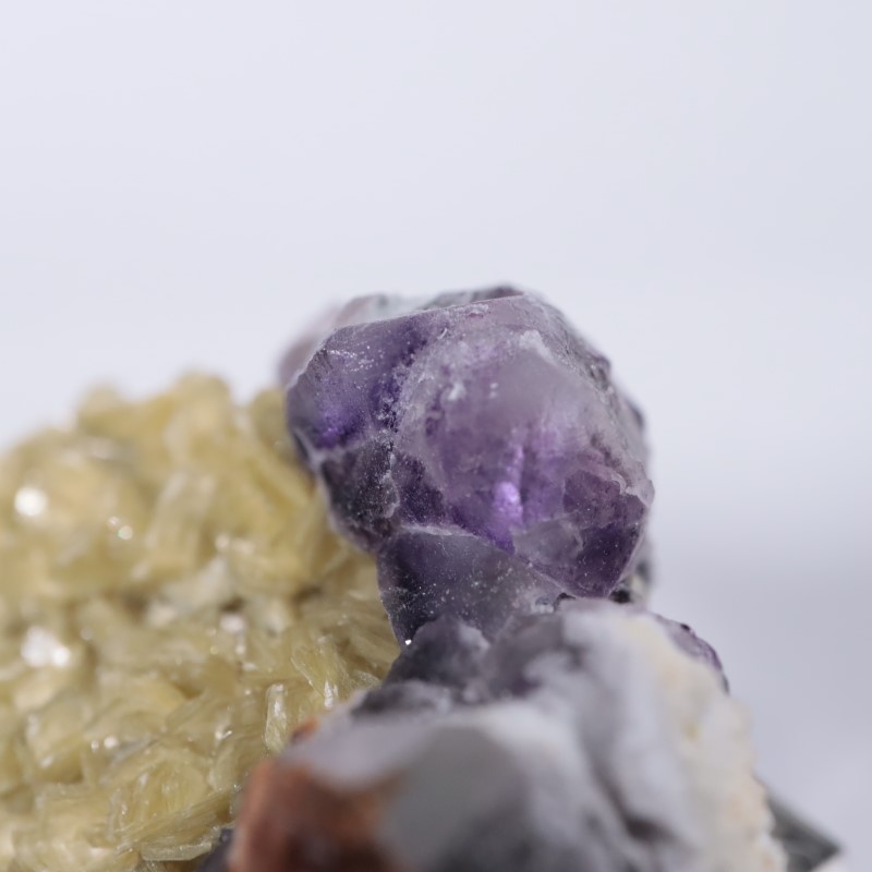 �����󥴹ۻ����ե����饤��