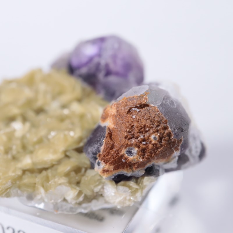 �����󥴹ۻ����ե����饤��