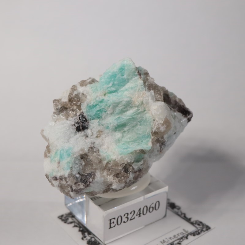 �ޥ��������뻺�����ޥ��ʥ��ȡ�����