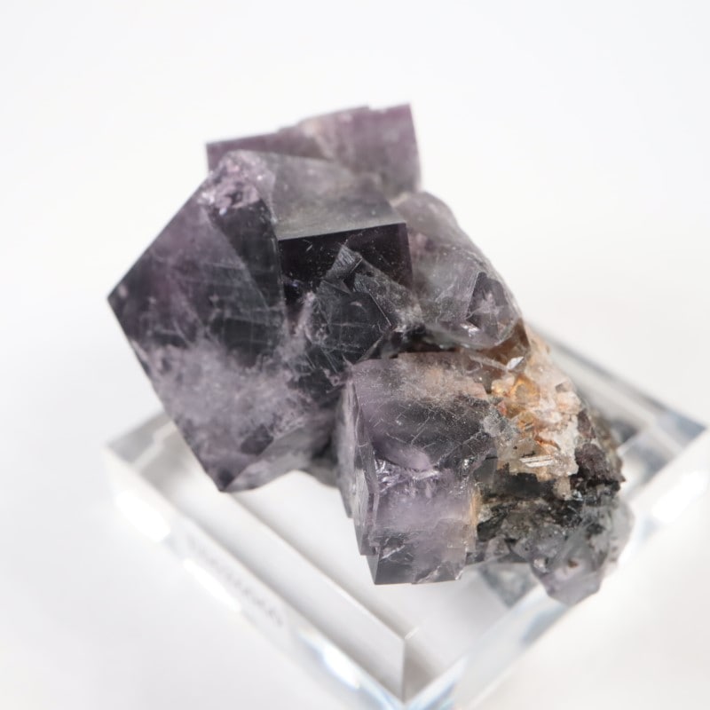 Purple Rain Pocket���ե����饤��