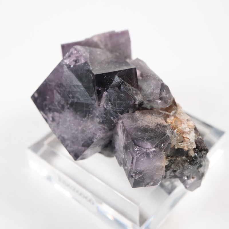 Purple Rain Pocket���ե����饤��