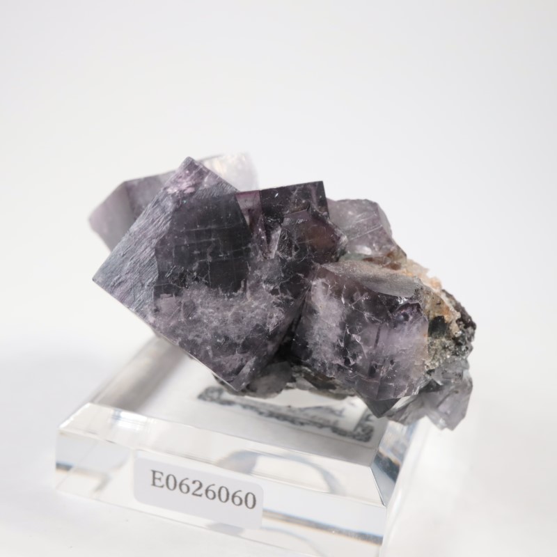 Purple Rain Pocket���ե����饤��