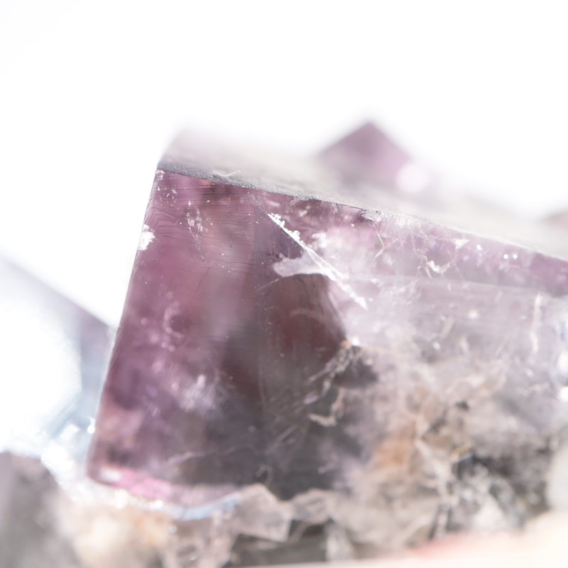 Purple Rain Pocket���ե����饤��