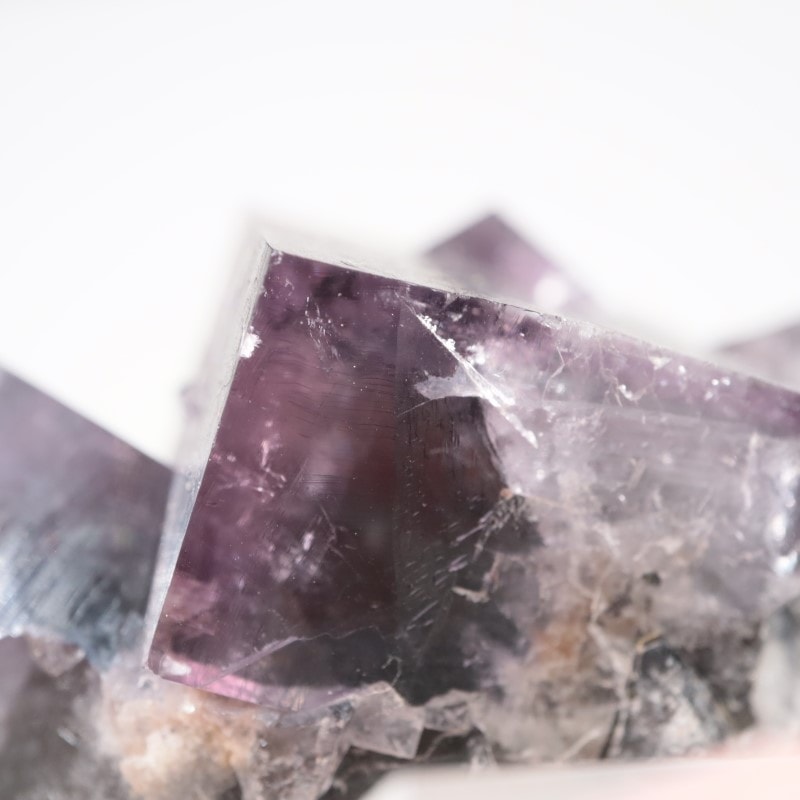 Purple Rain Pocket���ե����饤��