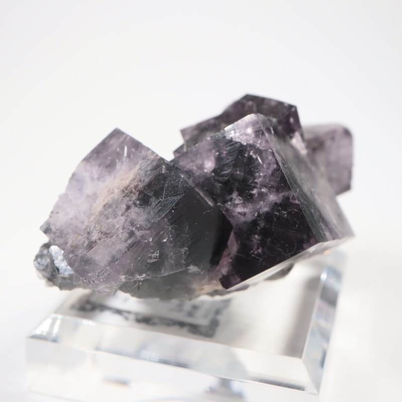 Purple Rain Pocket���ե����饤��