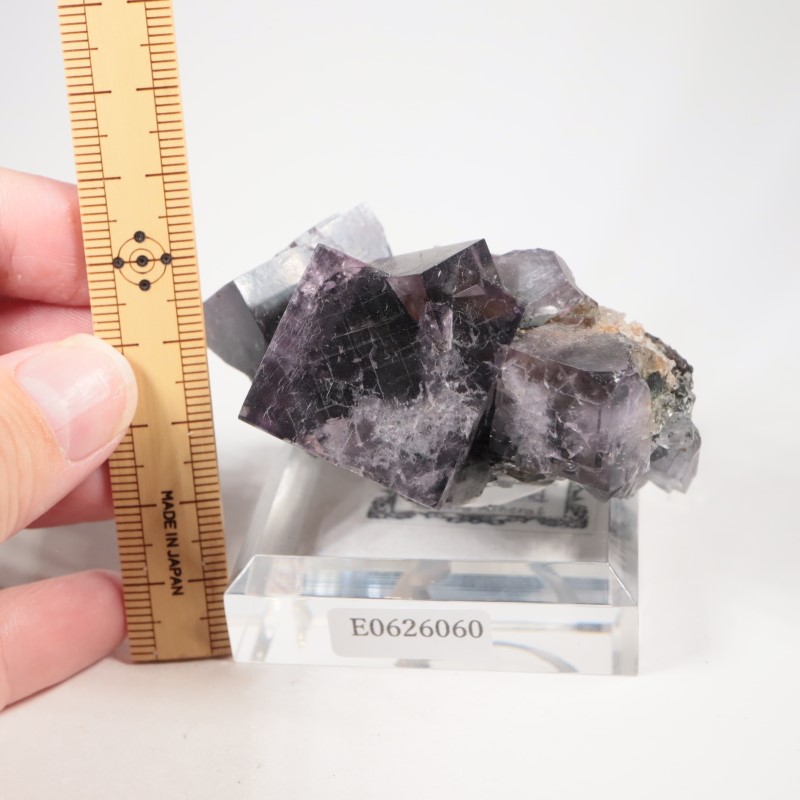 Purple Rain Pocket���ե����饤��