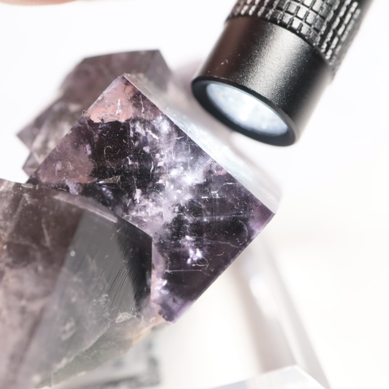 Purple Rain Pocket���ե����饤��