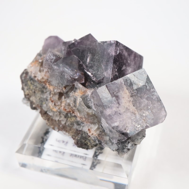 Purple Rain Pocket���ե����饤��