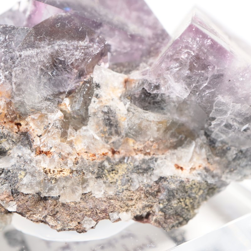 Purple Rain Pocket���ե����饤��