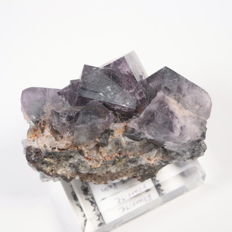 Purple Rain Pocket���ե����饤��