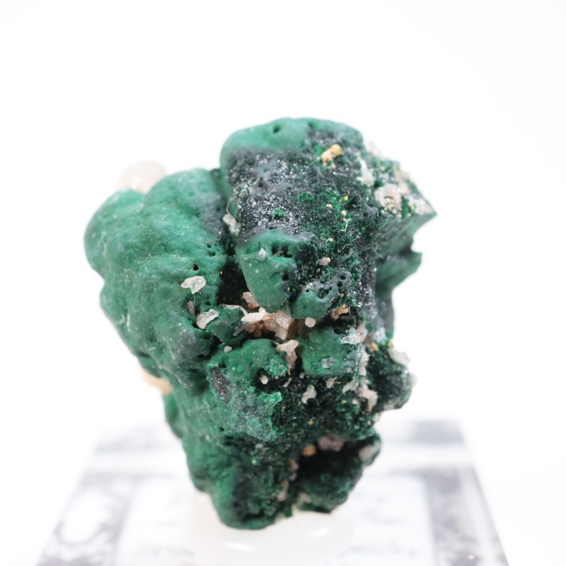 �������ȥ�ꥢ�� �ޥ饫���ȡ����륵����