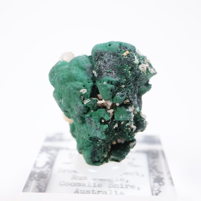 �������ȥ�ꥢ�� �ޥ饫���ȡ����륵����