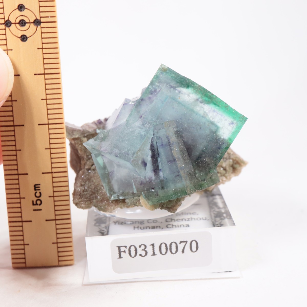 �䥪���󥷥��ۻ��� �ե����饤��