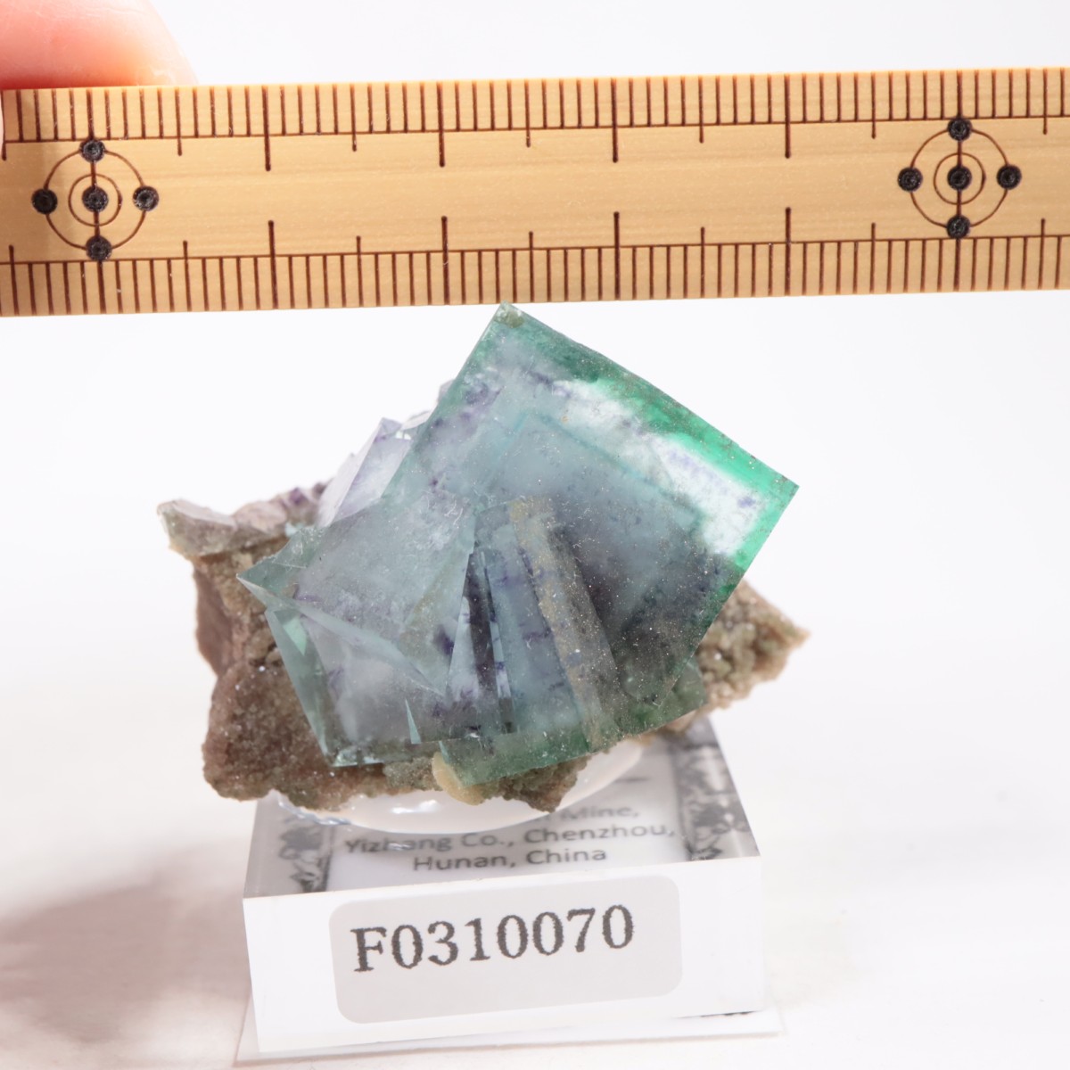 �䥪���󥷥��ۻ��� �ե����饤��